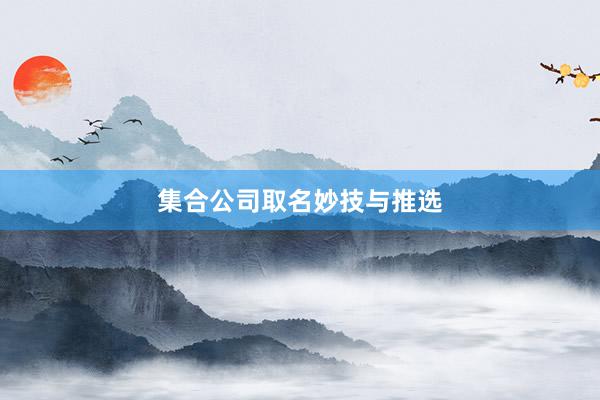 集合公司取名妙技与推选