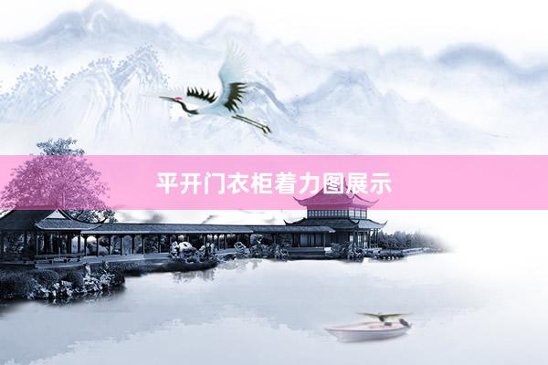 平开门衣柜着力图展示